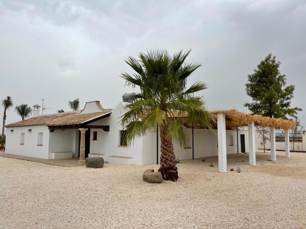 Casa Rural La Alcaparra Écija Exteriör bild